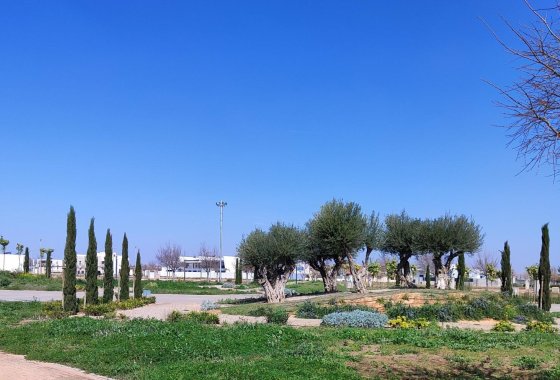 New Build - Apartman - Torre Pacheco - Centro