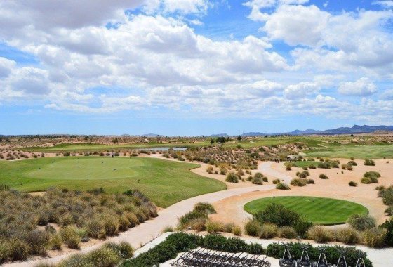 Новое здание - Villa - Alhama De Murcia - Condado De Alhama