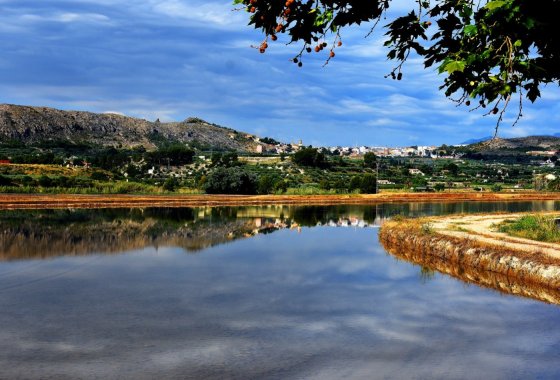 Новое здание - Villa - Calasparra - Coto Riñales