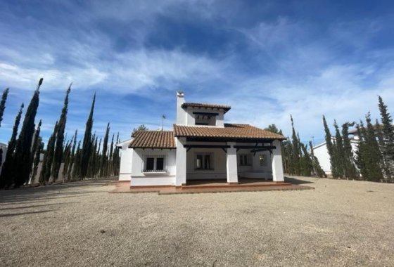 Новое здание - Villa - Fuente Álamo - Las Palas