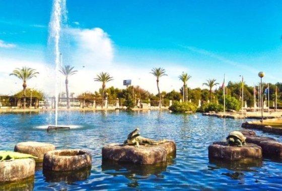 Новое здание - Villa - Torrevieja - Aguas Nuevas