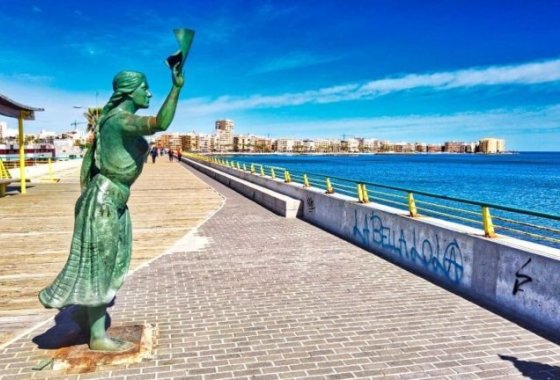 Новое здание - Villa - Torrevieja - Aguas Nuevas