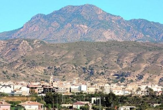 Новое здание - Villa - Fortuna - Urb. Kalendas