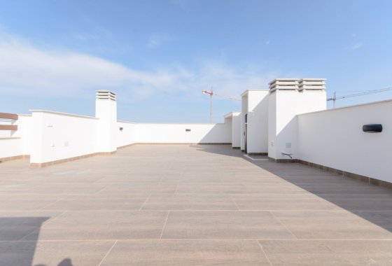 Obra nueva - Apartamento  - Torrevieja - Los Balcones