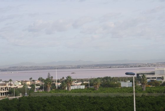 New Build - Villa / ikerházfél - Torrevieja - Los Altos