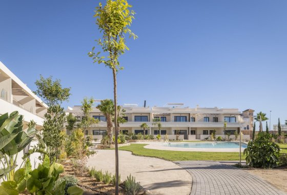 Obra nueva - Apartamento  - Torrevieja - Villa Amalia
