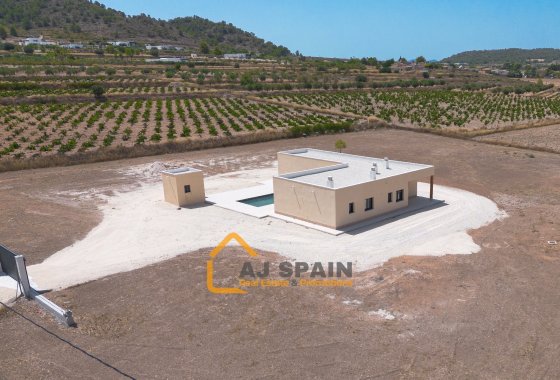 Obra nueva - Villa - Abanilla