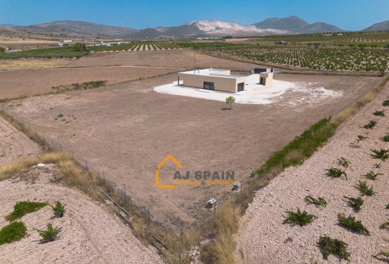 Obra nueva - Villa - Abanilla
