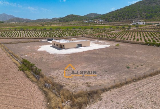 Obra nueva - Villa - Abanilla