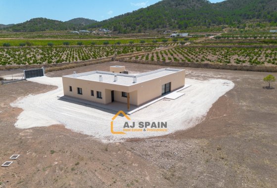Obra nueva - Villa - Abanilla