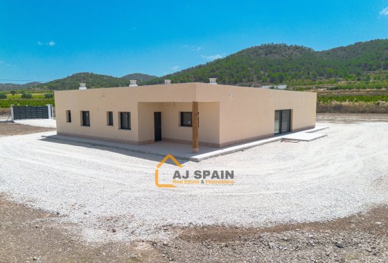 Obra nueva - Villa - Abanilla