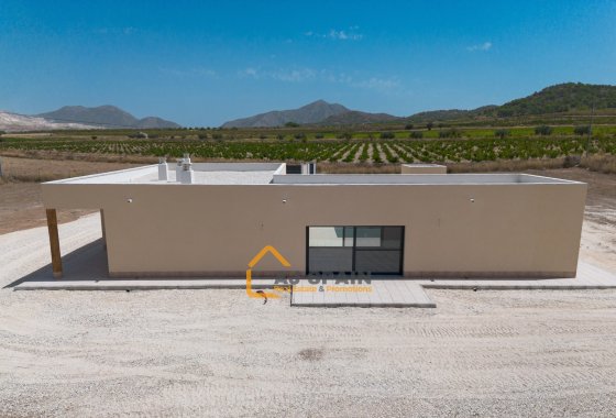 Obra nueva - Villa - Abanilla