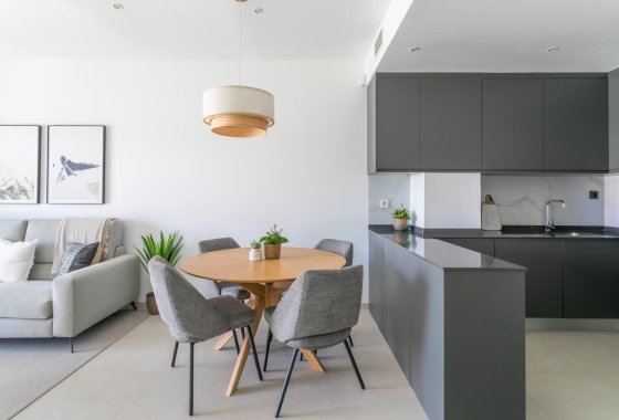 Obra nueva - Apartamento  - Torrevieja