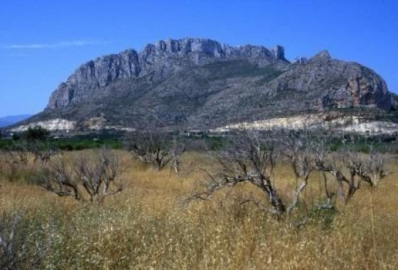 New Build - Semi-detached Villa - El Verger