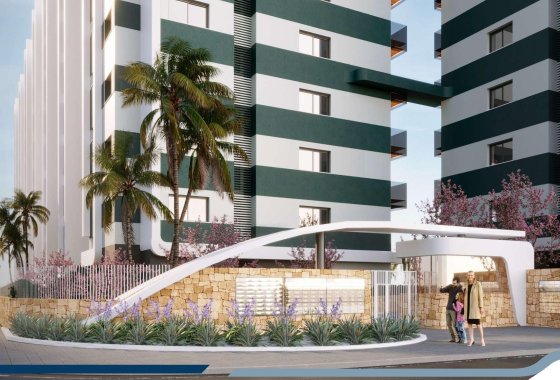 New Build - Apartment  - Torrevieja