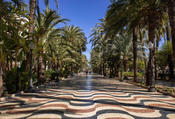 Nieuwbouw  - Appartement  - Alicante - Centro