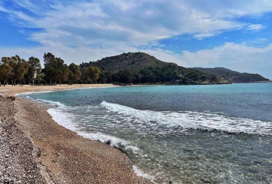 Новое здание - Квартира  - Villajoyosa