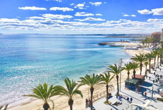 Новое здание - Квартира  - Torrevieja