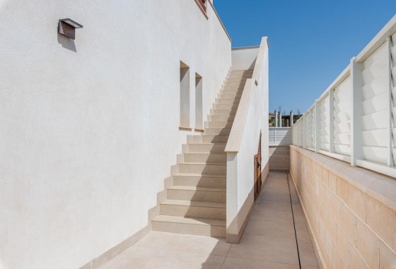 New Build - Villa - Vera - Vera Playa