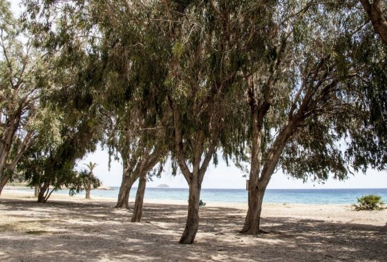 Новое здание - Квартира  - Villajoyosa