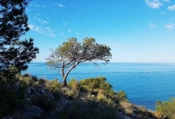 Новое здание - Квартира  - Villajoyosa