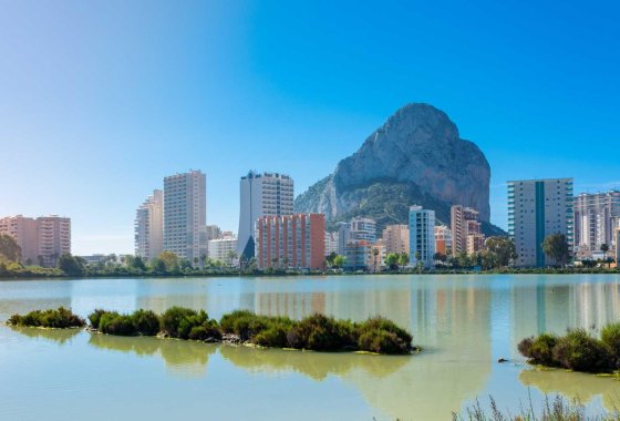 Новое здание - Квартира  - Calpe