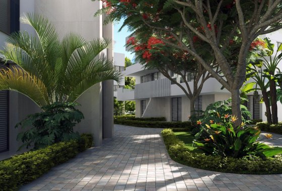 New Build - Apartment  - Torre Pacheco