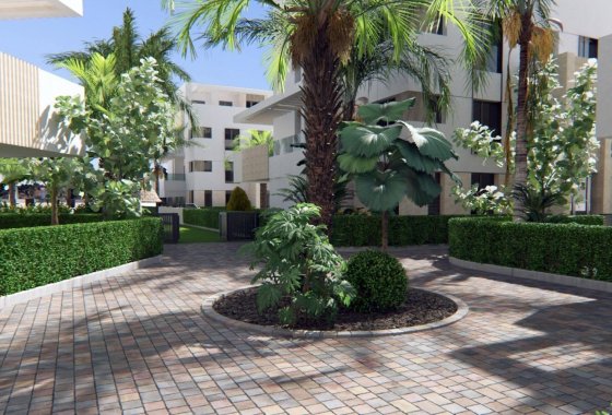 New Build - Apartment  - Torre Pacheco