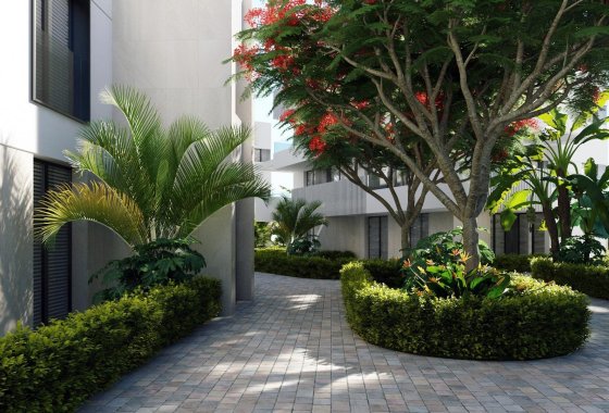 New Build - Apartment  - Torre Pacheco
