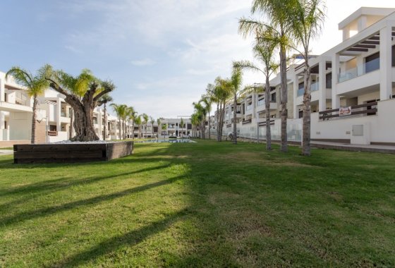Nouvelle construction - Appartement - Torrevieja