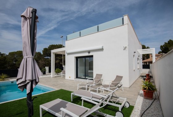 Новое здание - Villa - Pilar de la Horadada