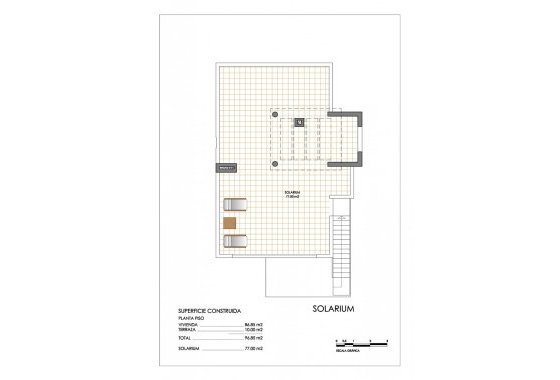 New Build - Apartman - San Miguel de Salinas