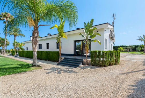 Herverkoop - Villa - Elche/Elx