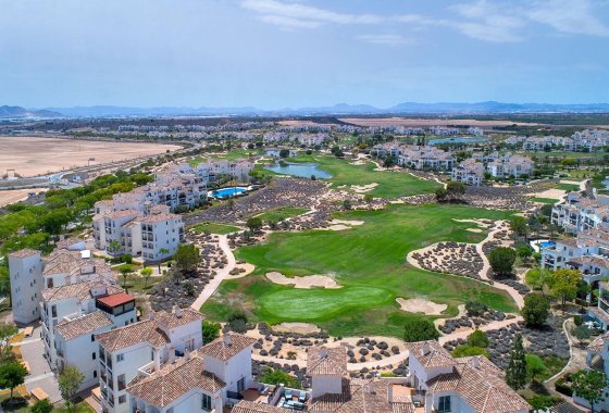 New Build - Villa / ikerházfél - Sucina