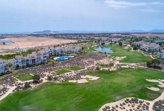 New Build - Villa / ikerházfél - Sucina