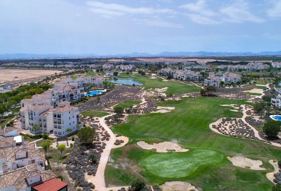 New Build - Villa / ikerházfél - Sucina