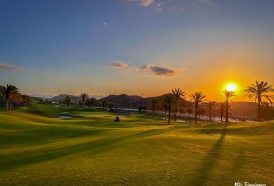 Новое здание - Квартира  - Pulpi