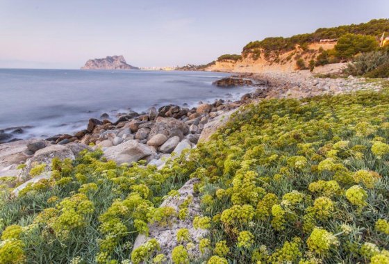 Nieuwbouw  - Villa - Benissa