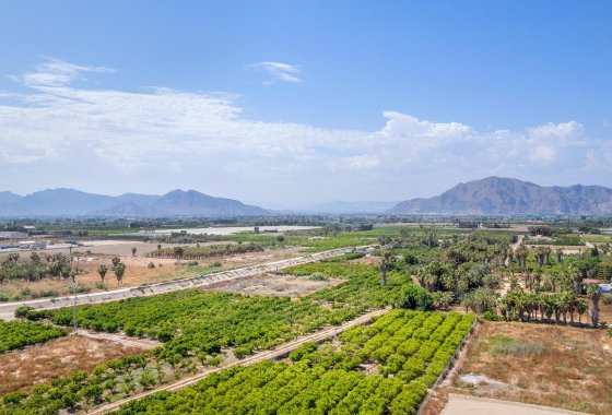 New Build - Apartment  - Jacarilla