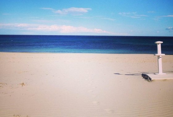 Obra nueva - Apartamento  - Pilar de la Horadada