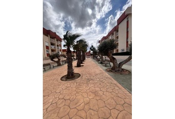 Obra nueva - Apartamento  - Orihuela Costa