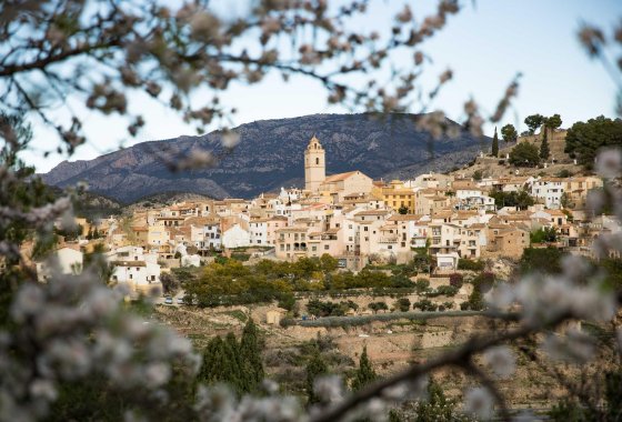 Nouvelle construction - Villa - Polop