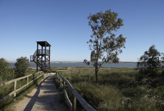 New Build - Villa - Torrevieja