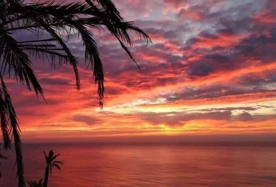 New Build - Apartment  - Torrevieja