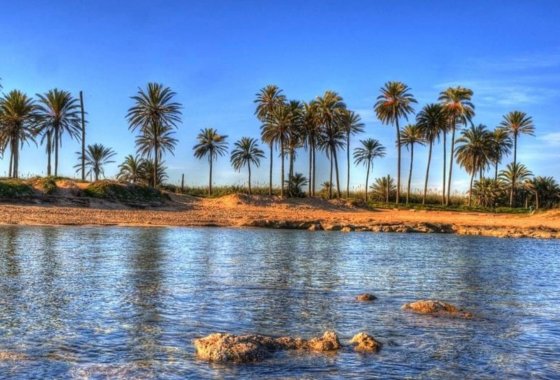 Nouvelle construction - Appartement - Torrevieja