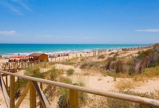 Новое здание - Villa - Benijofar