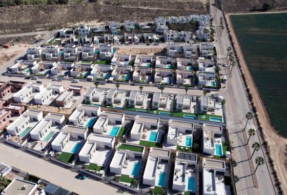 New Build - Villa - Algorfa