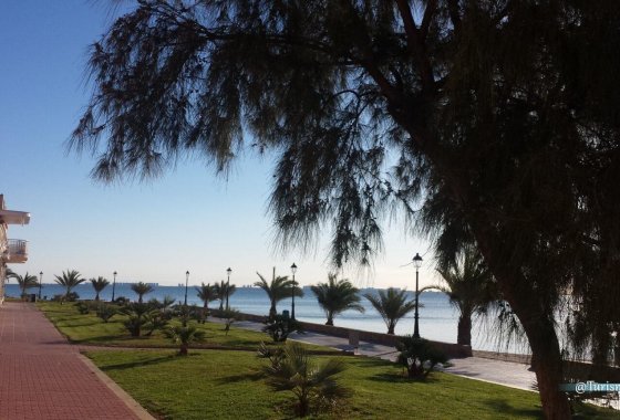 Новое здание - Вилла / Полуотдельная - Los Alcázares