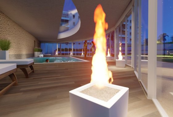 Obra nueva - Apartamento  - Guardamar del Segura