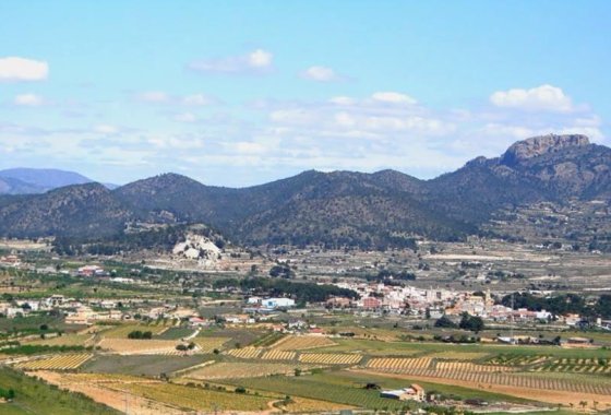 New Build - Villa - La Romana